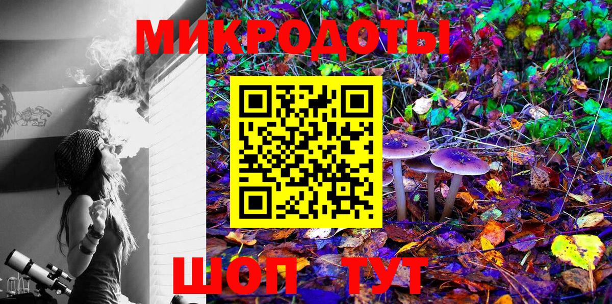 Псилоцибиновые грибы Cubensis  купить   Севастополь 